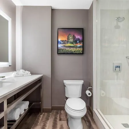 Cambria Hotel College Park-3