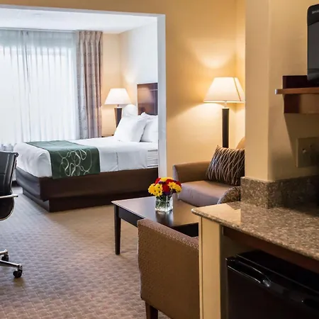 Comfort Suites University Area Notre Dame-South Bend-2