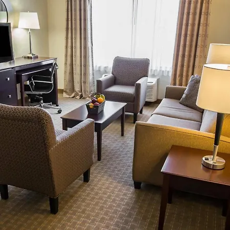 Comfort Suites University Area Notre Dame-South Bend-3