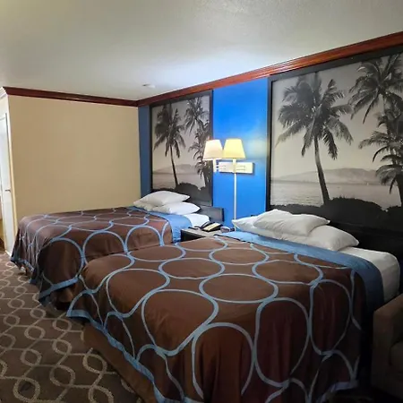 Super 8 By Wyndham San Marcos-2