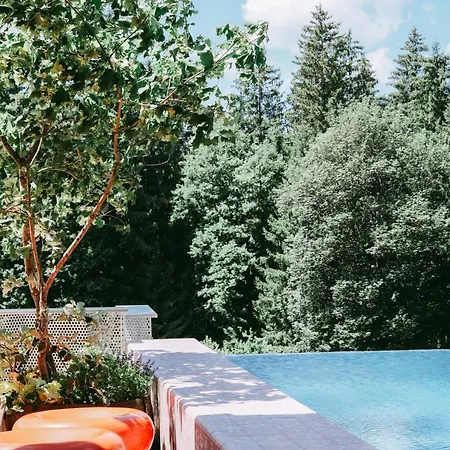 Seebichl Adults Only Designhotel Lake - Pool & Dine-2