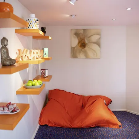 Novotel Lyon Gerland Musee Des Confluences-2