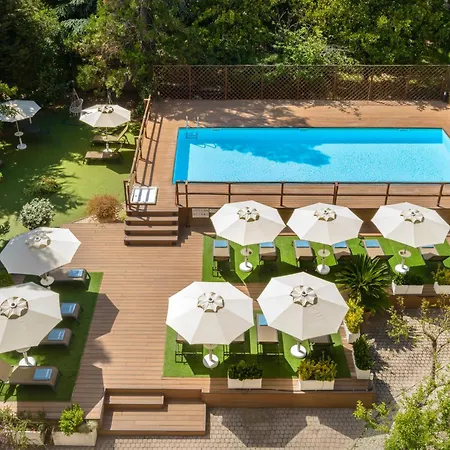 Occidental Aurelia-2