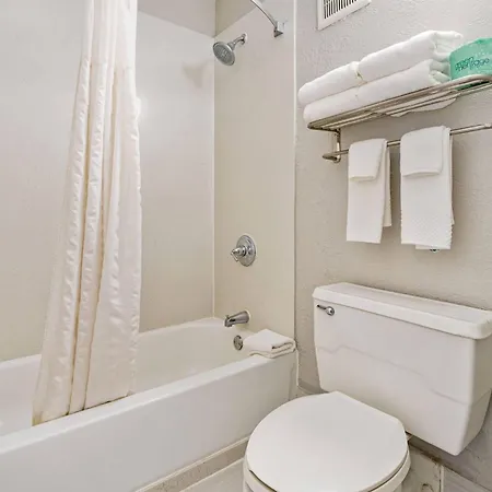 Beachfront Palms Resort Galveston, An Ascend Collection Hotel-3