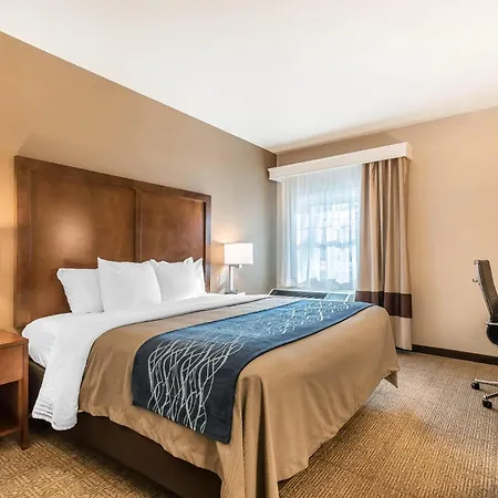Comfort Inn Concord South End-2