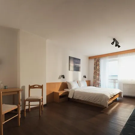 Hotel ALPINA-3