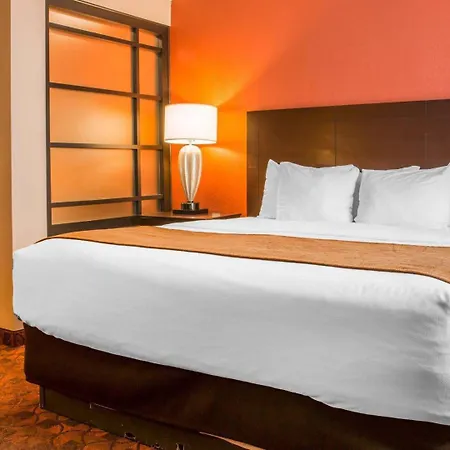 Comfort Inn & Suites And Conference Center-2