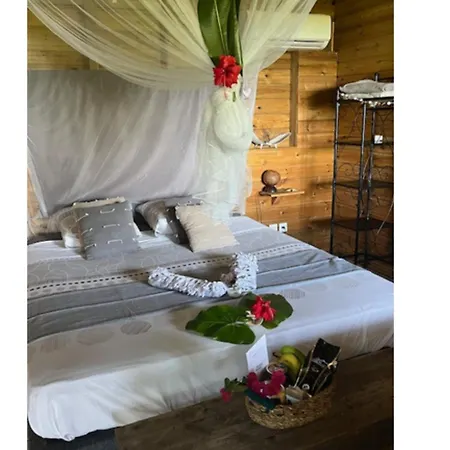 BUNGALOW La Tortue Bleue-3