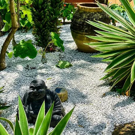 BUNGALOW La Tortue Bleue-2