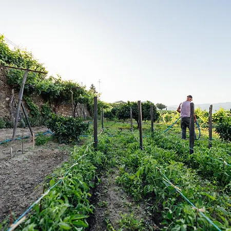 Casas Da Quinta De Santa Cruz - Douro Land-3