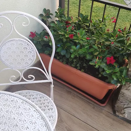 Lora Giusta Guest House-3