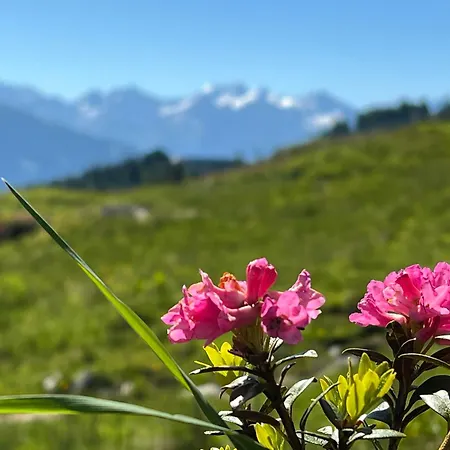 Berggasthof Platzlalm-3