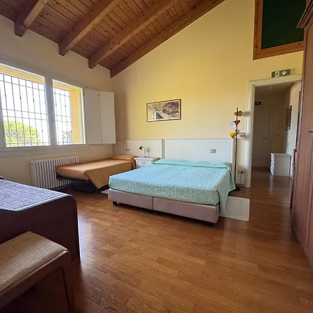 B&B Magic-2