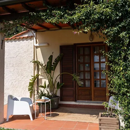 Aethalia Bed And Breakfast-3