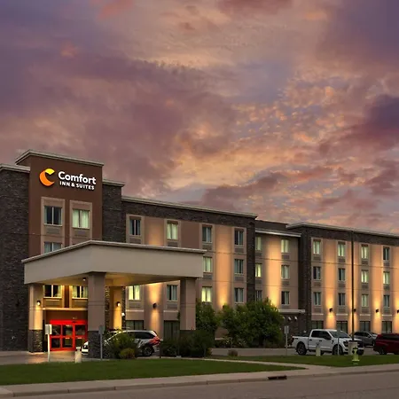 Comfort Inn & Suites Airport North-3