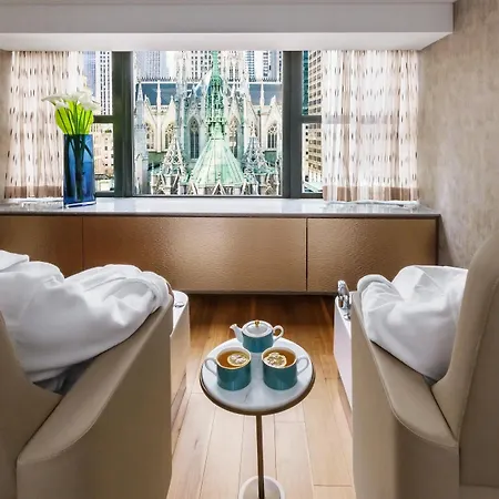 Lotte New York Palace-3