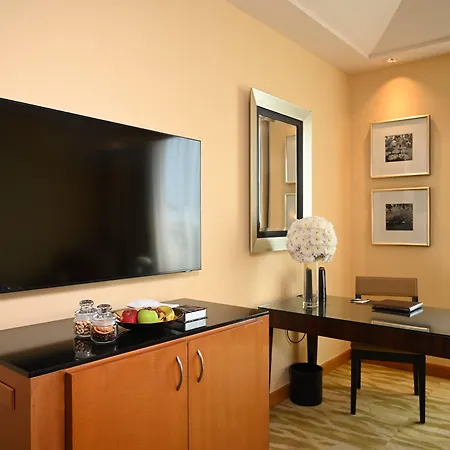 The Grand New Delhi-3