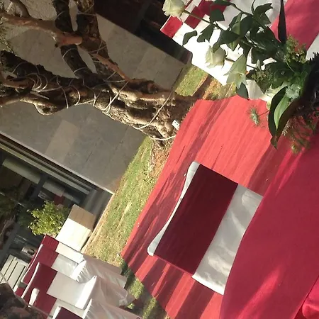 Hotel Les Torres-3