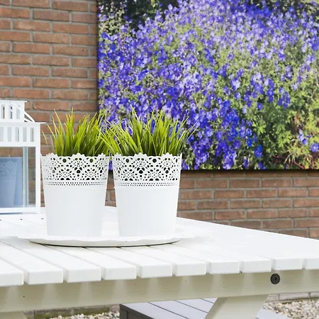 Bed&Breakfast De Reggestee-2
