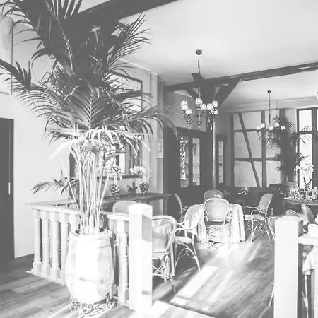 Hotel Bellini-3
