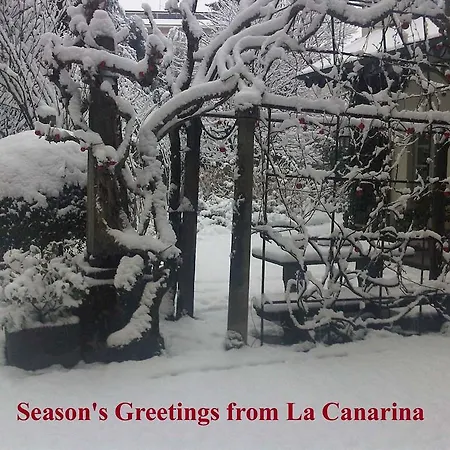 La Canarina Bed & Breakfast-3