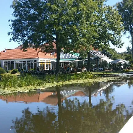 Hotel Grüner Baum-2