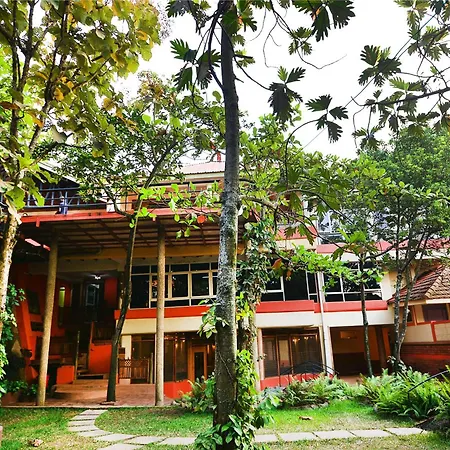 Forest Cottages-3