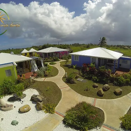 La Palmeraie Dorée-3