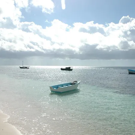 Caraibidamari-2