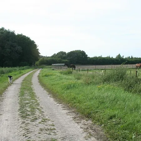 B&B De Drentse Es-3