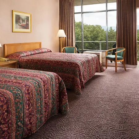Luray Caverns Motels-2