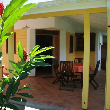 Les Cycas-2