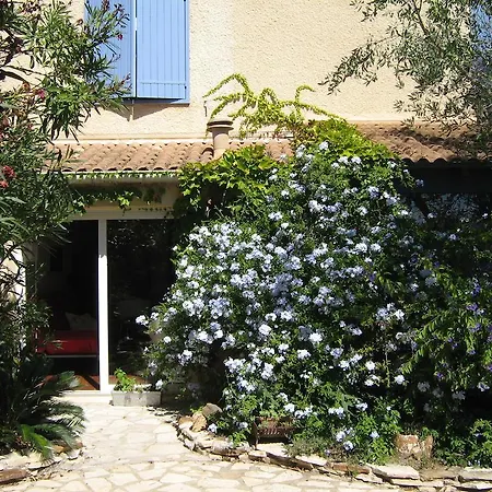 Chambres d'hôtes Lou Félibre-3