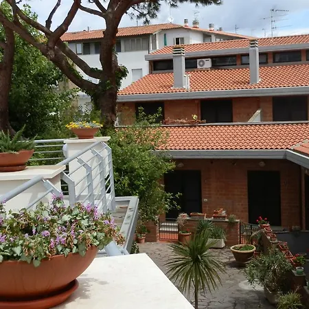 Cav Brunella-3
