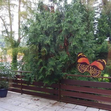 Hotel Salinenblick-3