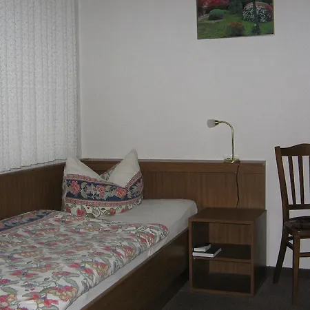 Pension "City"-3