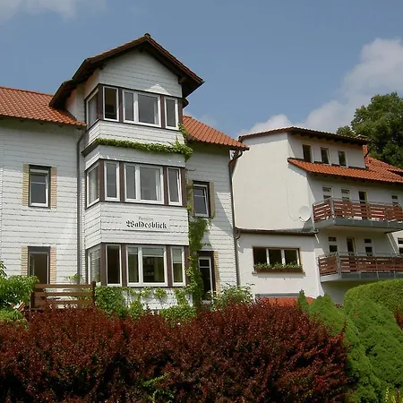 Pension Waldesblick-2
