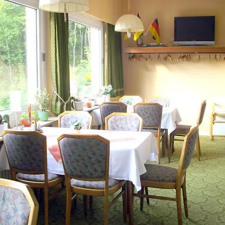 Hotel Haus Hellhohl Garni-3