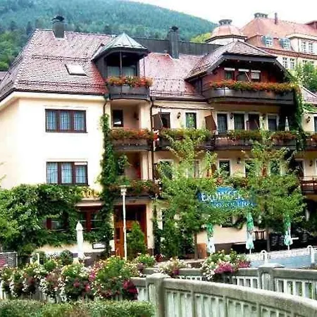 Hotel Restaurant Alte Linde-3
