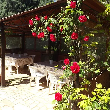 B&B Villa Lena-2
