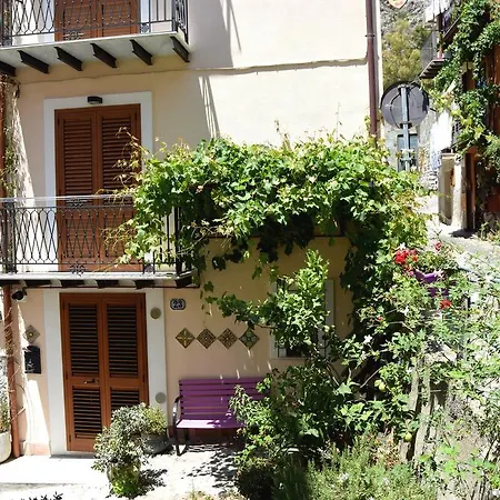 La Casa Del Geko-2