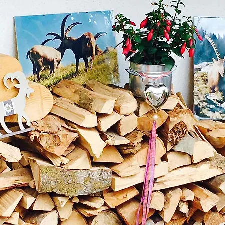 Steinbock Bed&Breakfast-3