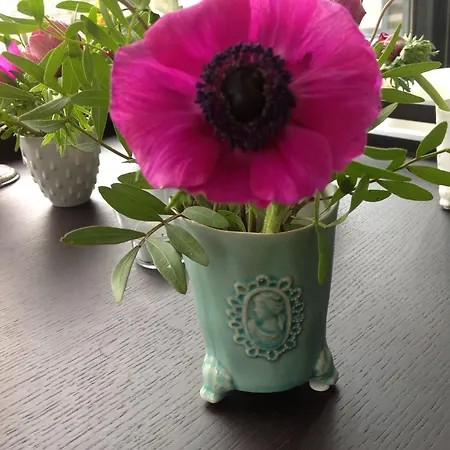 B&B Winterresidentie-2