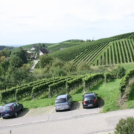 Pension am Weinberg-3