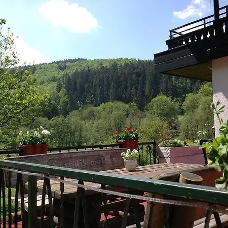 Hotel-Pension zum Paradies-2