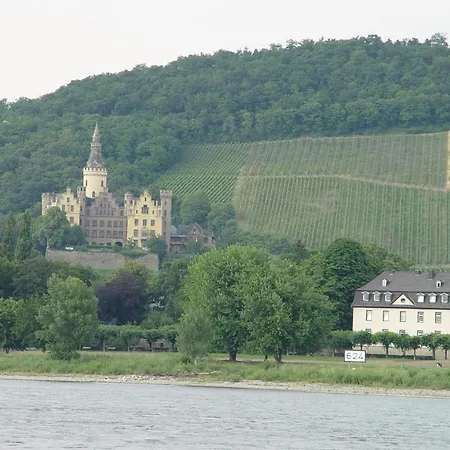 Hotel Vater Rhein-3