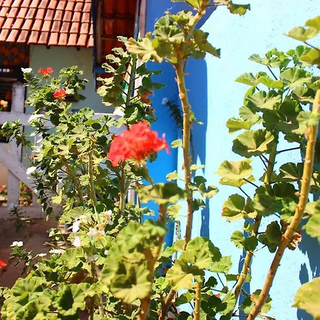 Pousada Vila Cipó-3