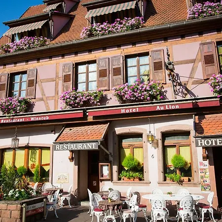 Hôtel Au Lion-2