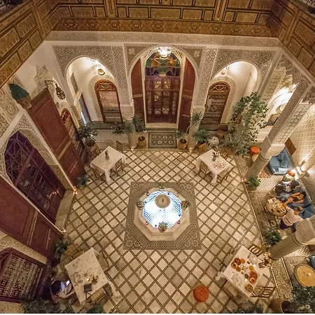 Riad Sara-3