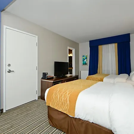 Comfort Inn Toronto City Centre-2